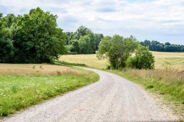 Cost of Stone Driveway Repair in Denver