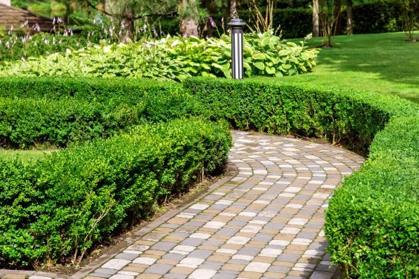 Cost of Paved Landscaping in Denver