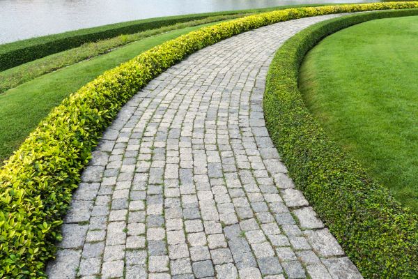 Sidewalk Pavers Installation in Denver